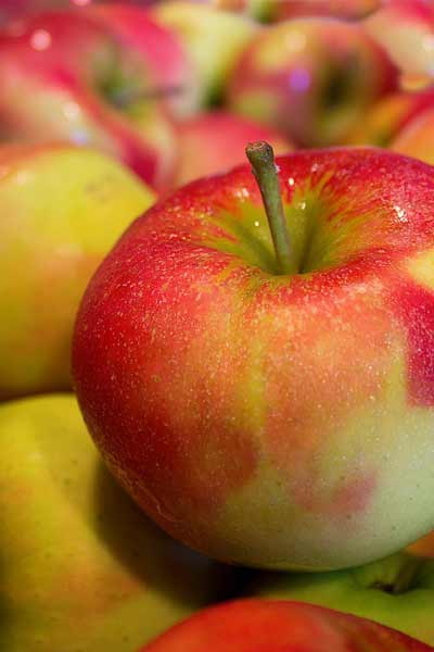 Online Sağlıklı Beslenme