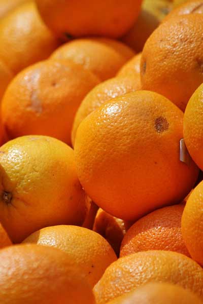 Online Diyet Danışmanlığı